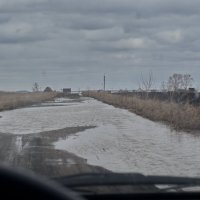 Дорога, а не канава. :: Михаил Полыгалов