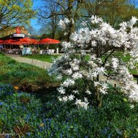 Planten un Blomen Hamburg :: Nina Yudicheva