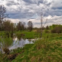 Река Дрезна утро 5 мая :: Андрей Дворников