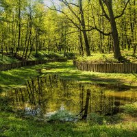 весенние краски :: Петр Беляков