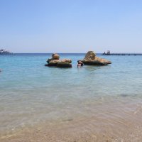 Красное море,Египет :: Елена Шаламова