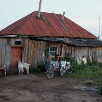 Вело-козы . :: Andrey 