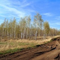 По дорогам мая.. :: Андрей Заломленков