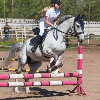 Прыжок в конкуре. :: Виктор Евстратов