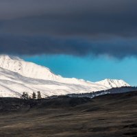 Утренняя сказка :: Ник Васильев