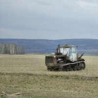 *** :: Роман Пацкевич