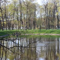 Михайловский сад в мае :: Наталья Герасимова