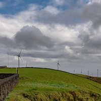 Azores 2018 Terceira 8 :: Arturs Ancans