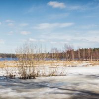 Лососиное :: Анастасия Плужник