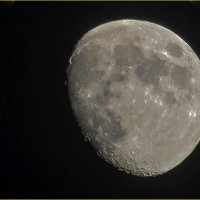 Луна :: Georgy Kalyakin