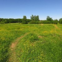 Пока мой самый дальний выезд на велосипеде в сезоне :: Андрей Лукьянов