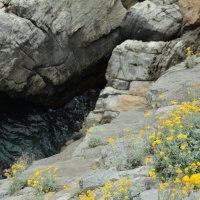Море,скалы :: Селена Родина