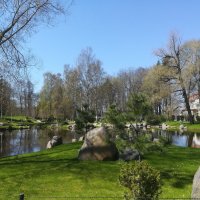 Японский сад в таллинском Кадриорге :: veera v