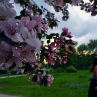 Вечерняя пробежка :: Екатерина Торганская