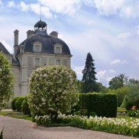Jardine de chateau Cheverny :: Iren Ko