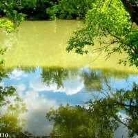 Май в отражениях :: Нина Бутко