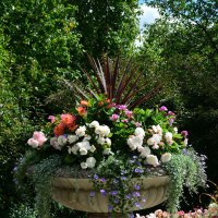 Цветочная ваза в Ридженс-парке Лондона :: Тамара Бедай 