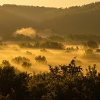 Доброе утро :: Вера Сафонова