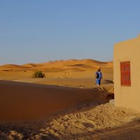 Сахара :: Михаил Рогожин