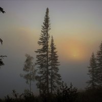 Туманный восход :: Сергей Чиняев 