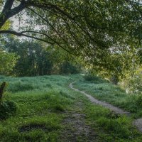 Утром по росе. :: Владимир Безбородов