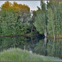 ЛУЧИ КАСАЮТСЯ КРОН ДЕРЕВЬЕВ. ВЕЧЕР В ДЕРЕВНЕ.ЗАКАТ. :: Юрий Ефимов