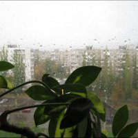 "Дождит октябрь за окном..." :: Irina Gizhdeu