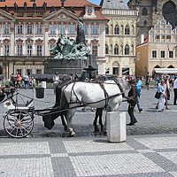 Прага. :: Владимир Драгунский