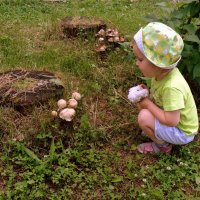 Девочка и грибы . :: Мила Бовкун