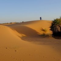 Сахара :: Михаил Рогожин