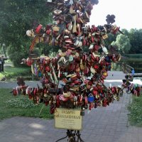 Подарок молодожёнам в городе Дзержинский! :: Ольга Кривых