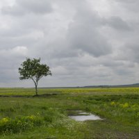 ** :: Роман Пацкевич