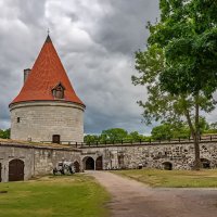 Estonia 2018 Saarema Kuressaare 2 :: Arturs Ancans