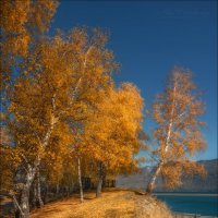 Осень на Алтае :: Влад Соколовский