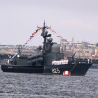 Парад ВМФ в 2017г :: Самохвалова Зинаида 