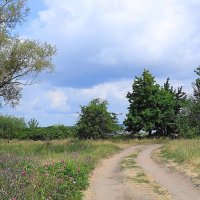 Дорожка к заливу :: Маргарита Батырева