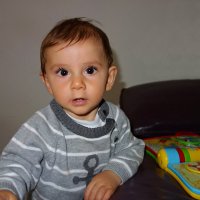 Мой милый Тони - 8 месяцев... :: Galina Dzubina