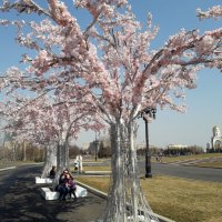 в парке Победы :: Августа 