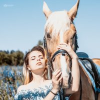 Любовь к лошадям. :: Райдара Лесная