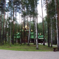Недавно здесь был просто лес... :: Елена Викторова 