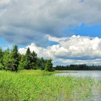 Летом у озера :: Leonid Tabakov