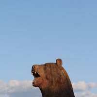 Медведь :: Sahvik S