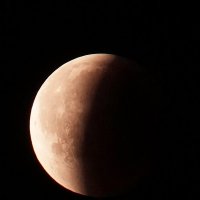 Лунное затмение в Борисове 27.июля 2018г. 0:46 :: Артур Овсепян