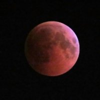 Кровавая Луна :: leoligra 