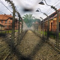 Auschwitz-Birkenau.. :: Tatsiana Latushko