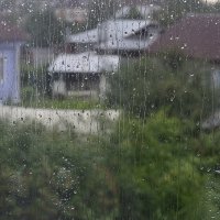 Дождь. :: Оксана Евкодимова