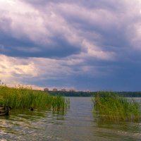 Кажется, дождь собирается. :: Вадим Басов