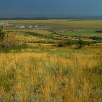 Природный парк ДОНСКОЙ :: Олег Рыбалко