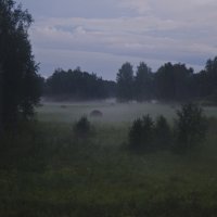 Утренний туман :: Ольга Прикуль
