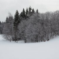 Компания... :: Крылова Светлана 